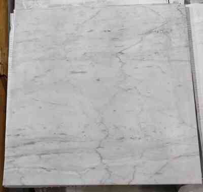 18 x 18 Square Matte Bianco Carrara Marble